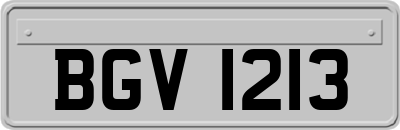 BGV1213