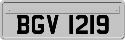 BGV1219