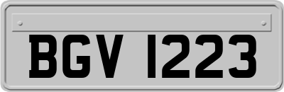 BGV1223