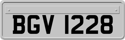 BGV1228