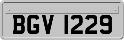 BGV1229