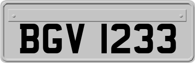 BGV1233