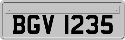 BGV1235