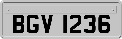 BGV1236