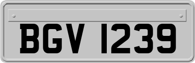 BGV1239