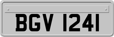 BGV1241