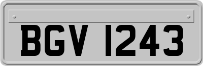 BGV1243