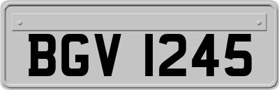 BGV1245