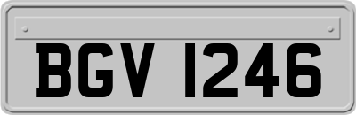 BGV1246