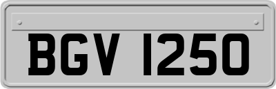 BGV1250