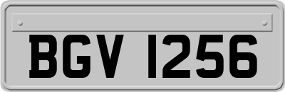 BGV1256