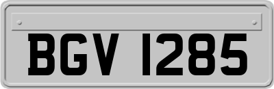 BGV1285