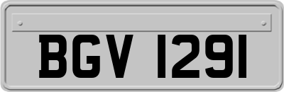 BGV1291