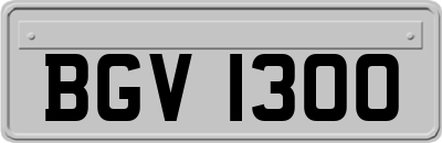 BGV1300