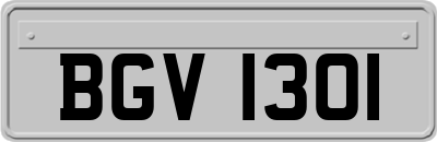 BGV1301