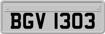 BGV1303