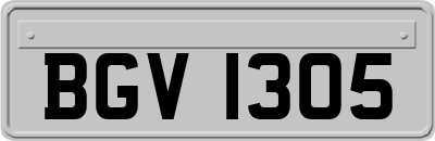 BGV1305
