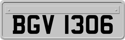 BGV1306