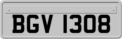 BGV1308