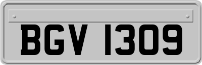 BGV1309