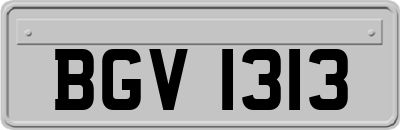 BGV1313