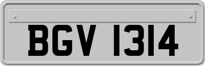 BGV1314
