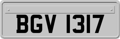 BGV1317