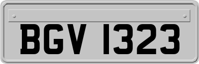 BGV1323
