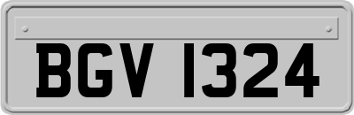 BGV1324