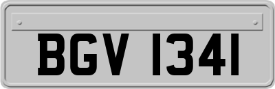BGV1341
