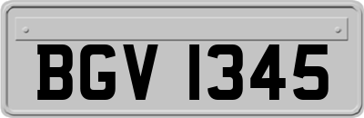 BGV1345