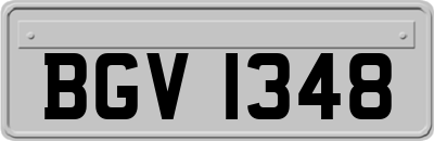 BGV1348