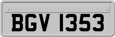 BGV1353