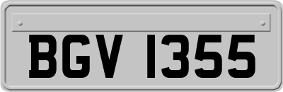 BGV1355