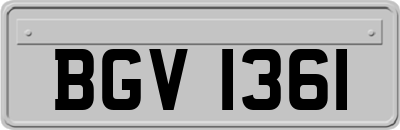 BGV1361
