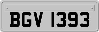 BGV1393