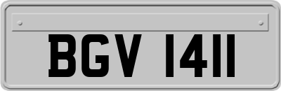 BGV1411