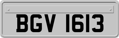 BGV1613