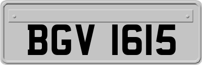 BGV1615