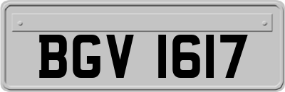 BGV1617