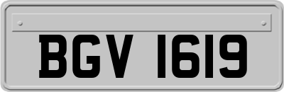 BGV1619