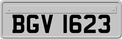 BGV1623
