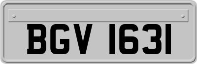 BGV1631