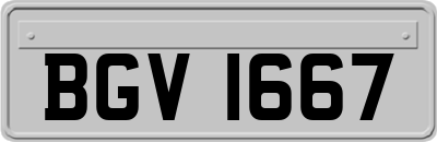 BGV1667