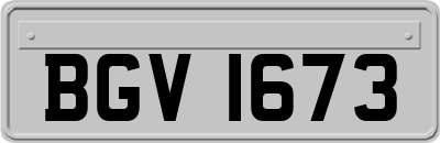 BGV1673
