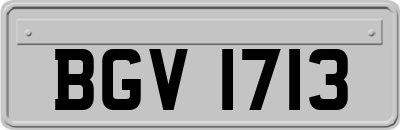 BGV1713