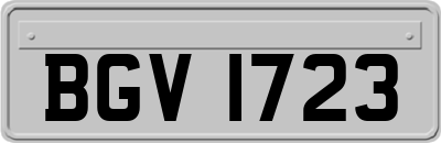BGV1723