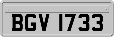 BGV1733