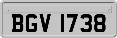 BGV1738