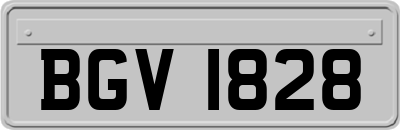 BGV1828